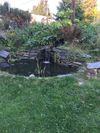 9 Brooklyn St photo